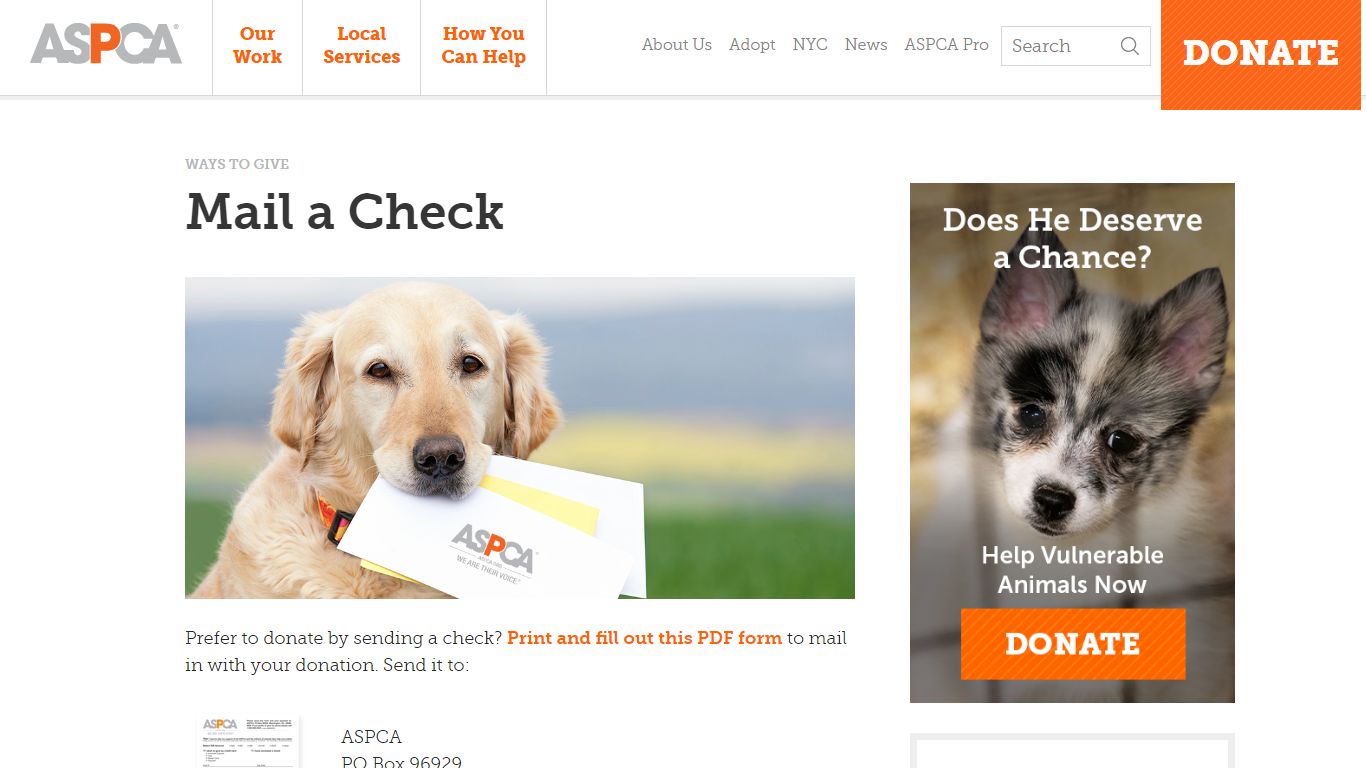Mail a Check l Ways to Donate l Take Action l ASPCA